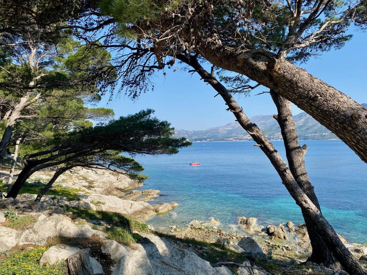 Indigo Cavtat Apartments Esterno foto